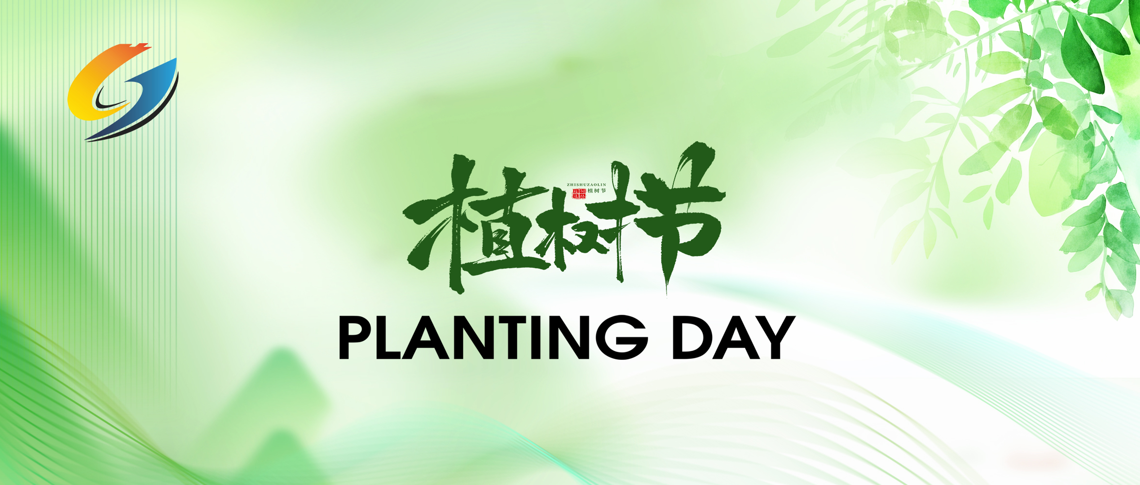 植此青绿｜春光作序，写在第 48 个植树节前